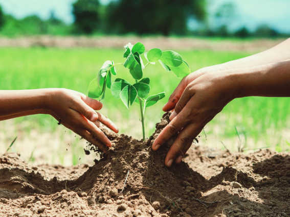植樹風景ハートツリープロジェクト