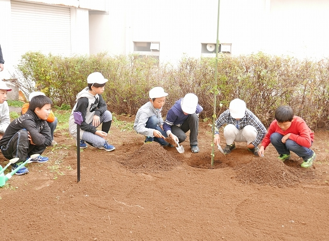 子ども達が木の根本に土をかける様子